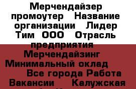 Мерчендайзер-промоутер › Название организации ­ Лидер Тим, ООО › Отрасль предприятия ­ Мерчендайзинг › Минимальный оклад ­ 27 000 - Все города Работа » Вакансии   . Калужская обл.,Калуга г.